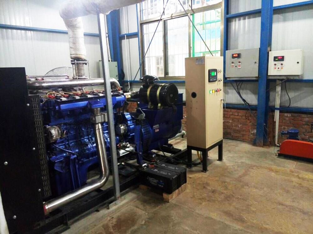 200KW Biogas Project