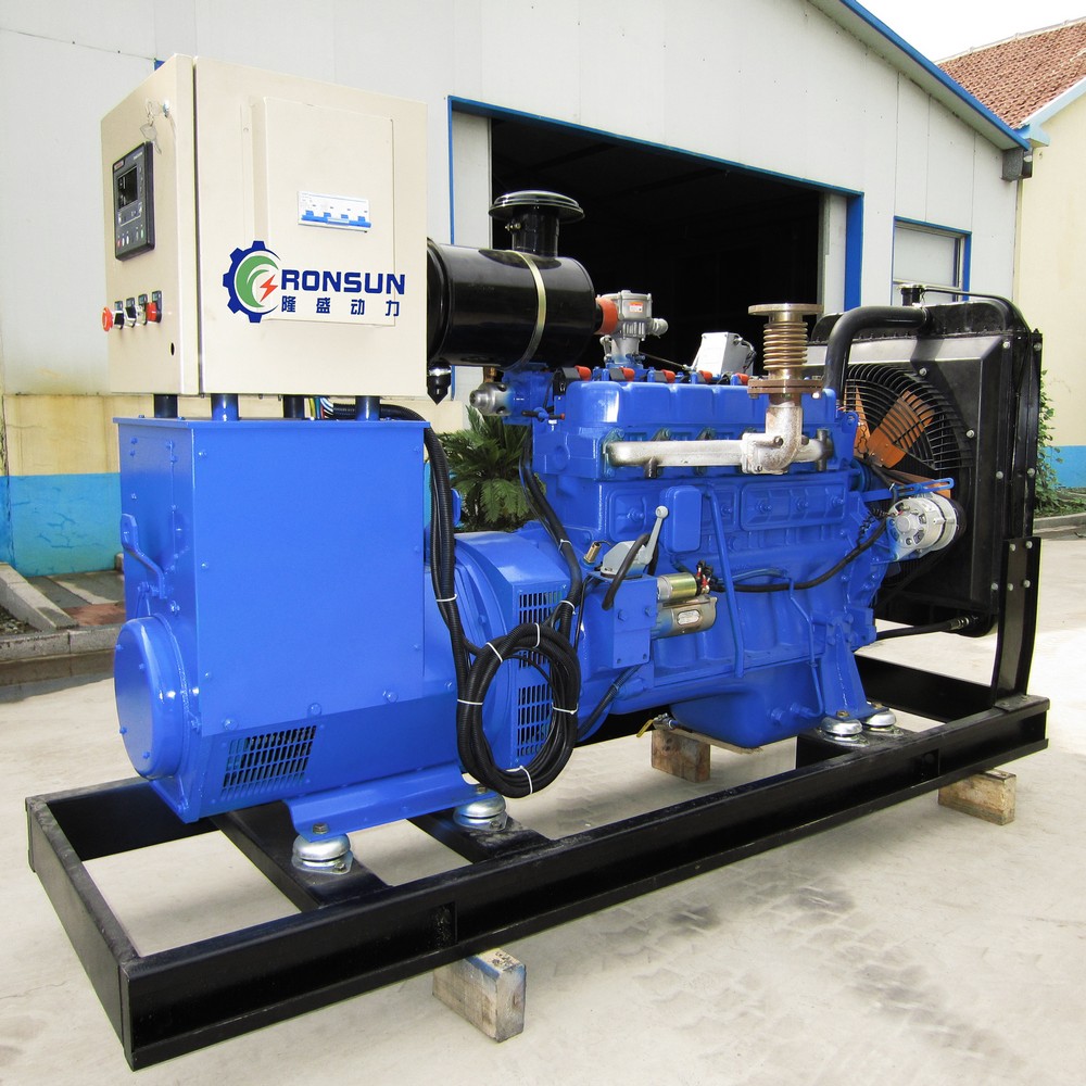 50kW 62.5kVA Biogas Generator Set
