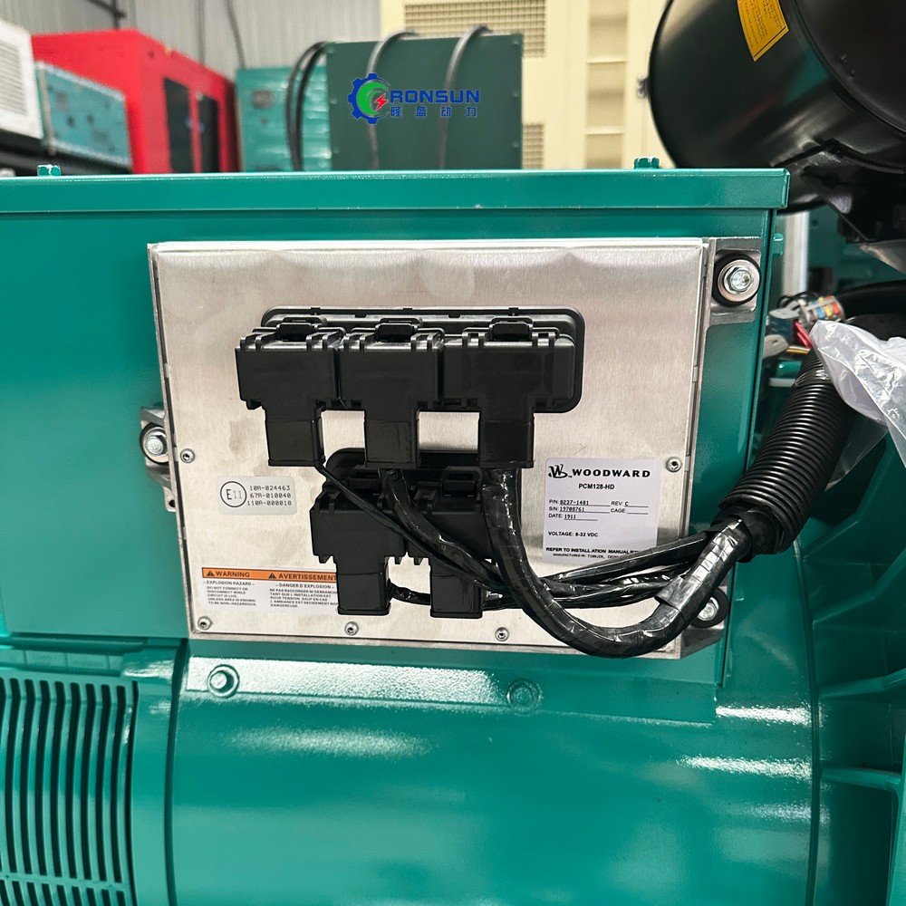 80kW 100kVA Natural Gas Generator Set