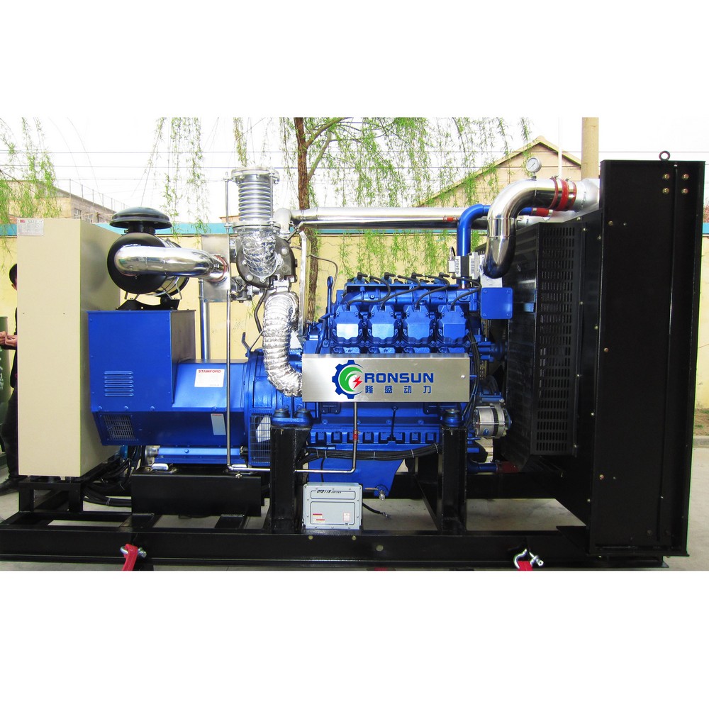 250kW 312.5kVA Biogas Generator Set