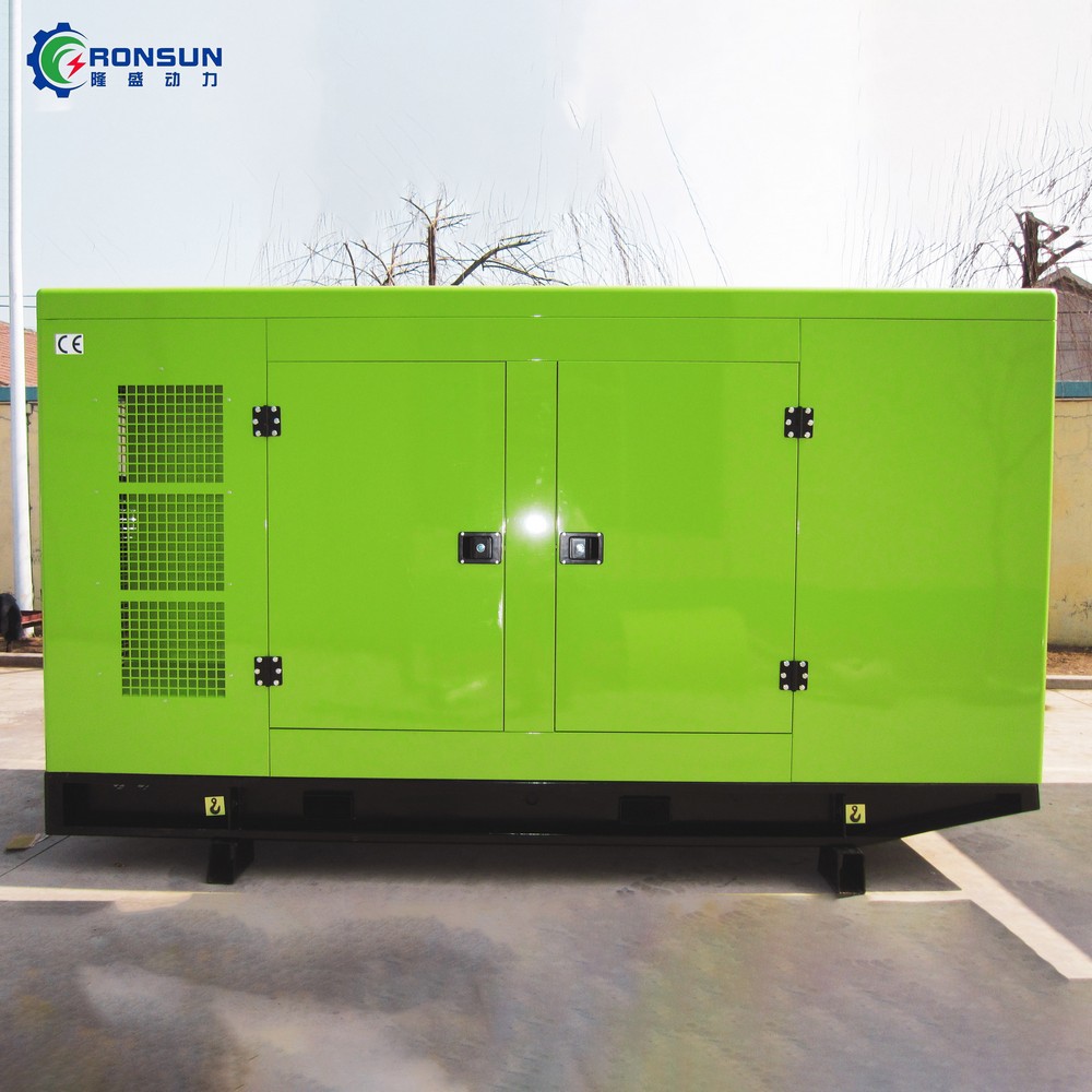 80kW 100kVA Biogas Generator Set