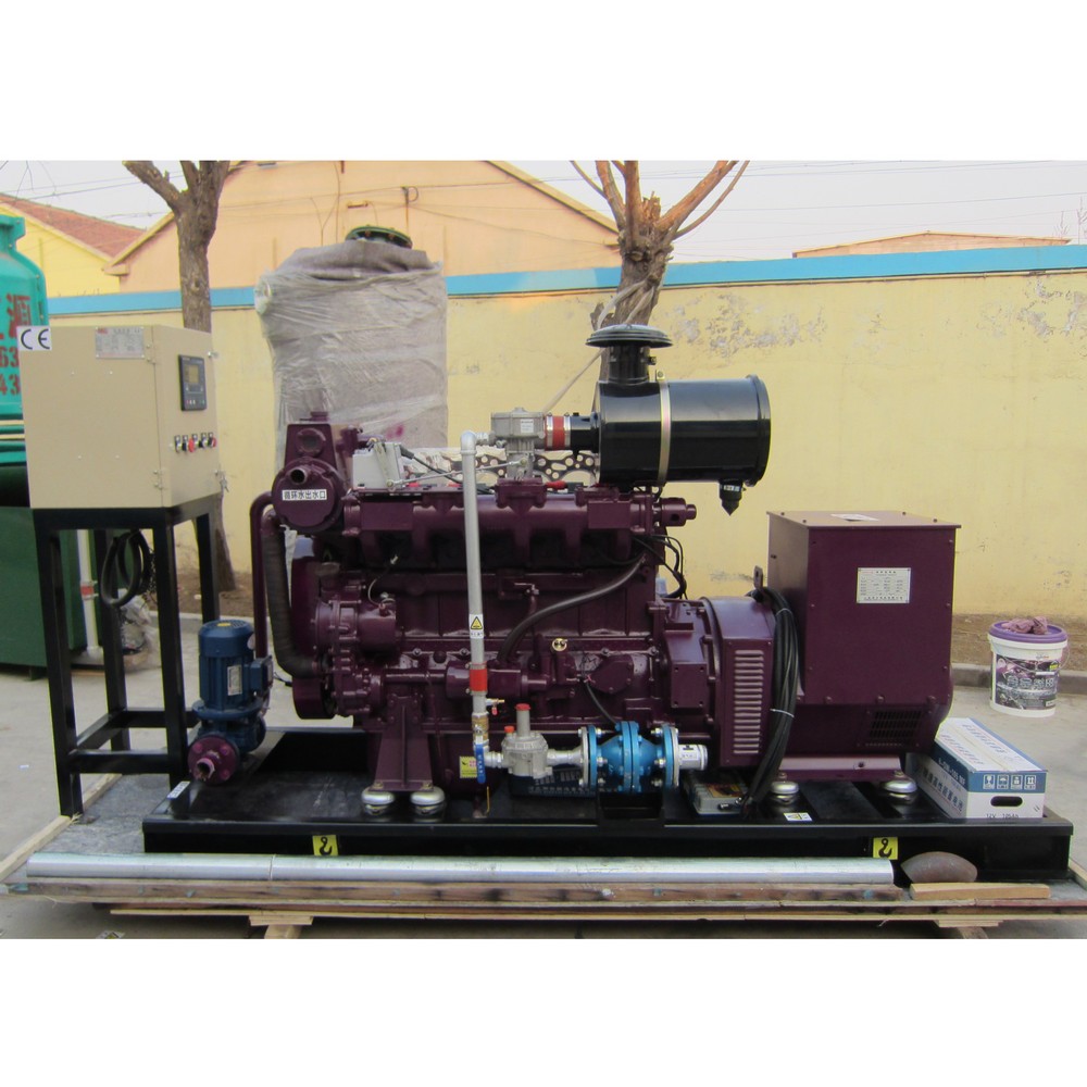 40kW 50kVA Biogas Generator Set