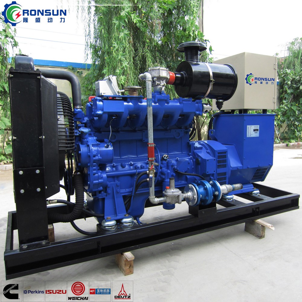 50kW 62.5kVA Biogas Generator Set