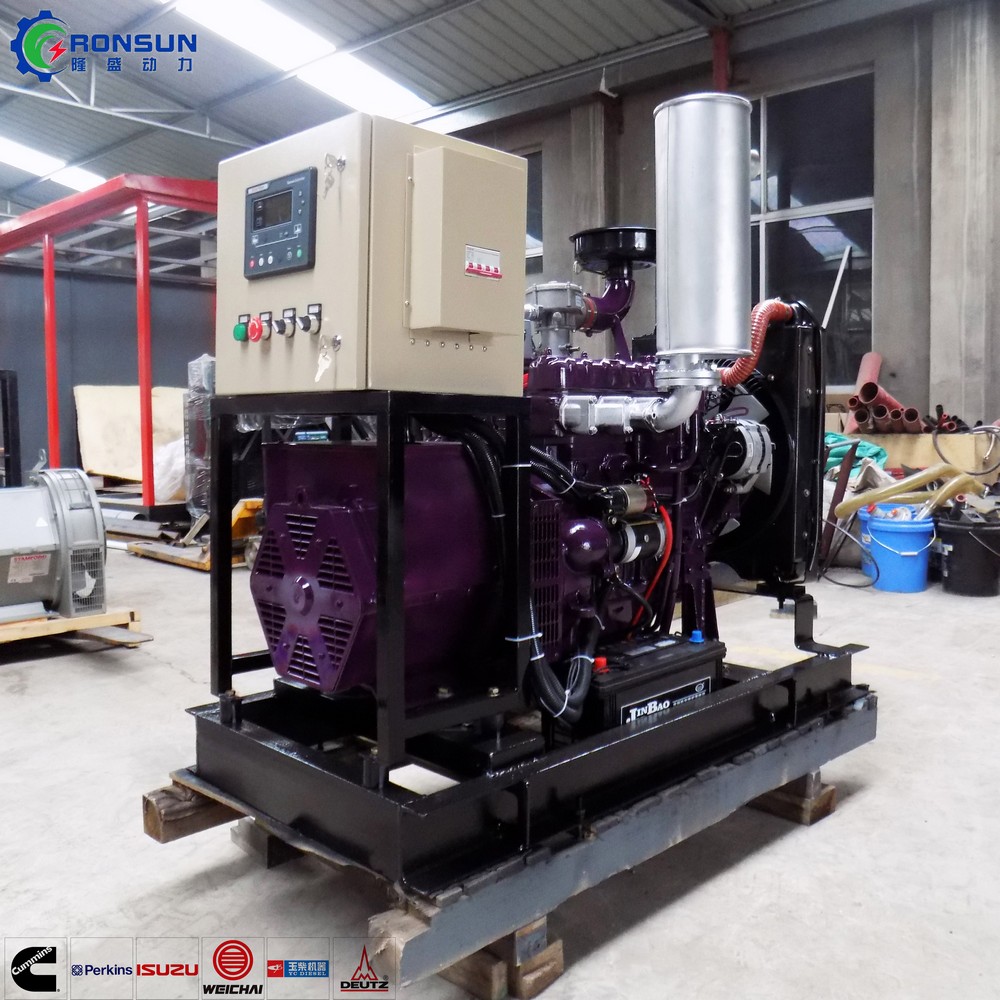 30kW 37.5kVA Biogas Generator Set