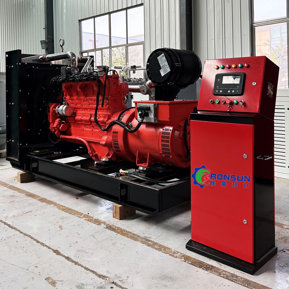 200kW 250kVA Biogas Generator Set