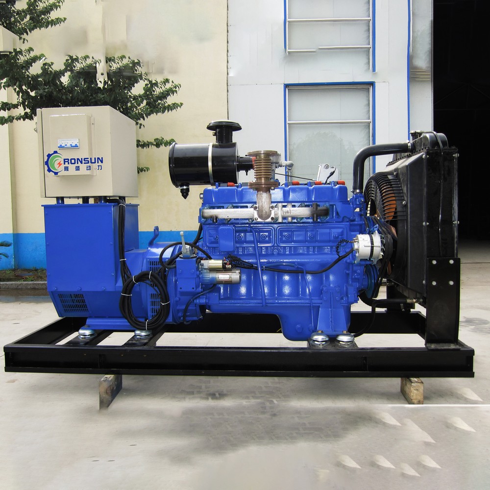 50kW 62.5kVA Biogas Generator Set