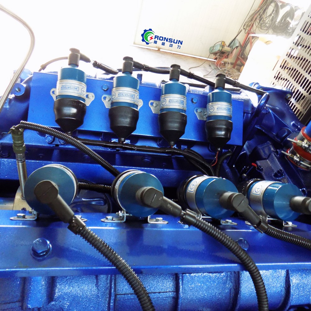 300kW 375kVA Biogas Generator Set