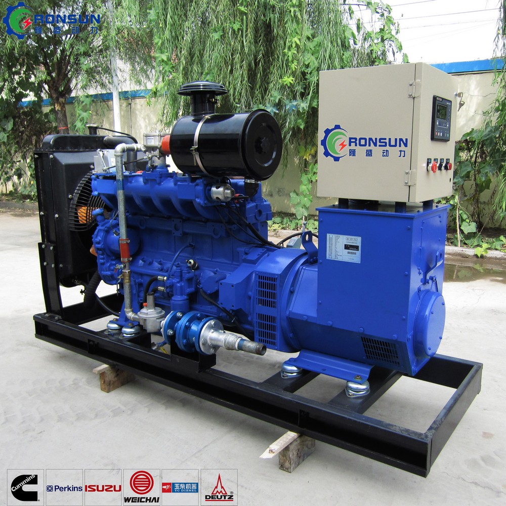 50kW 62.5kVA Biogas Generator Set