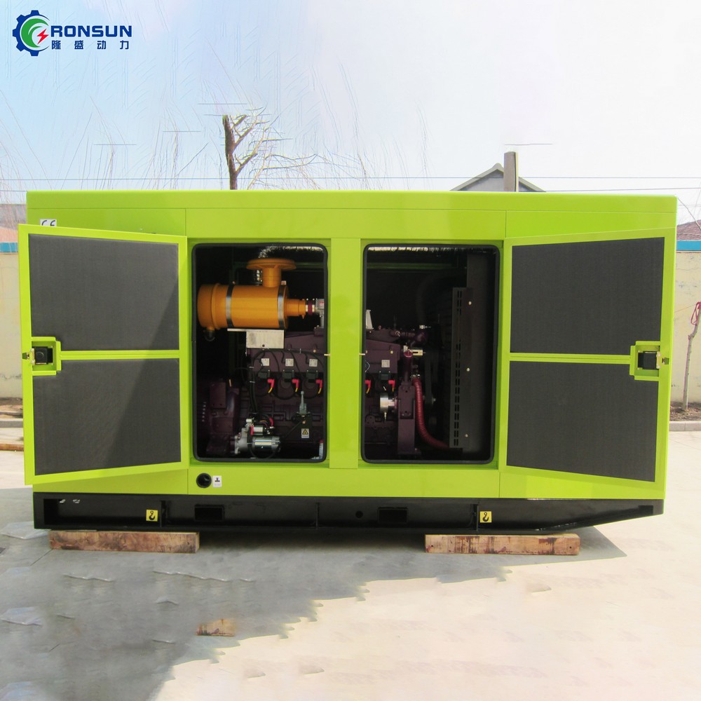 80kW 100kVA Biogas Generator Set