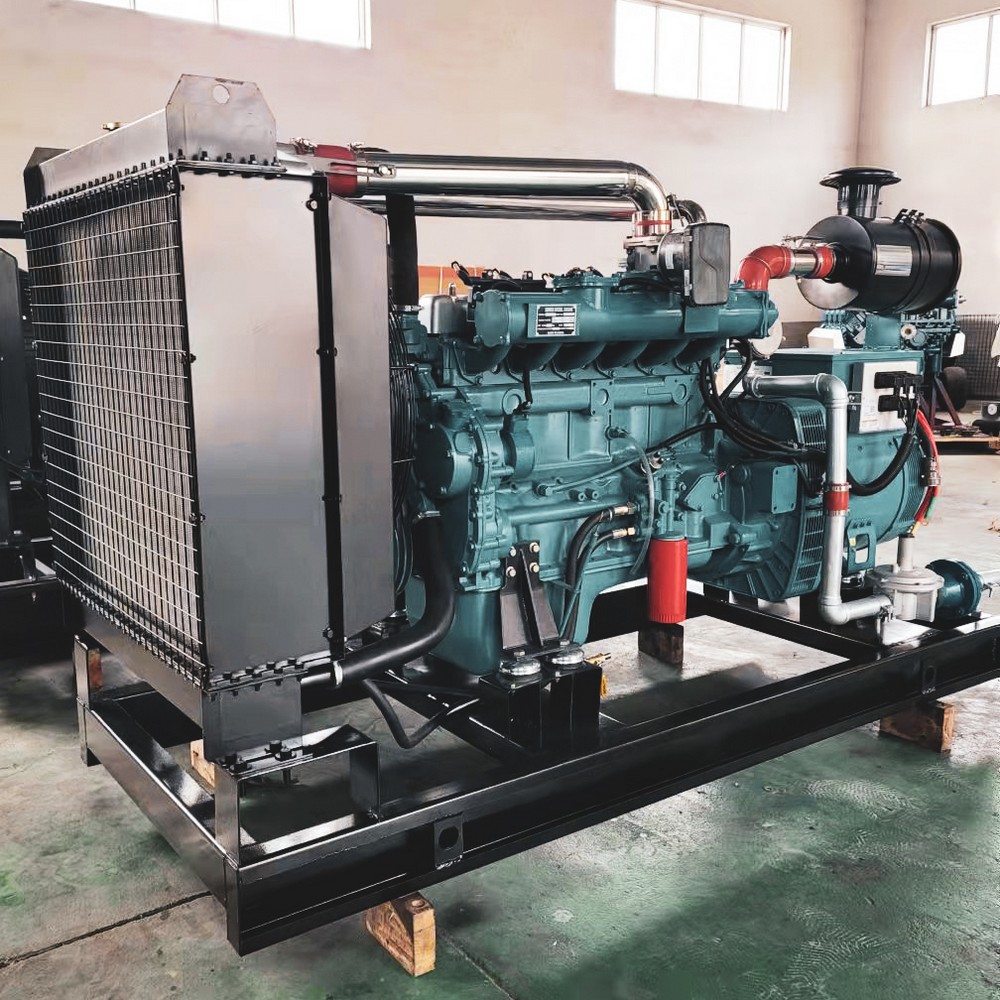 80kW 100kVA LPG Generator Set