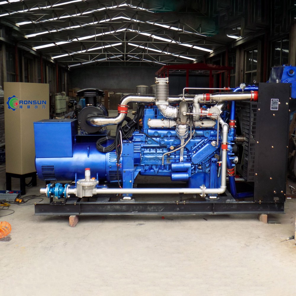 200kW 250kVA Biomass Generator Set